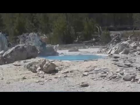 Colin Scott Yellowstone Video