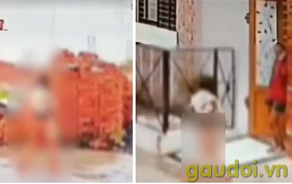 Watch Ujjain Viral Video Original Full