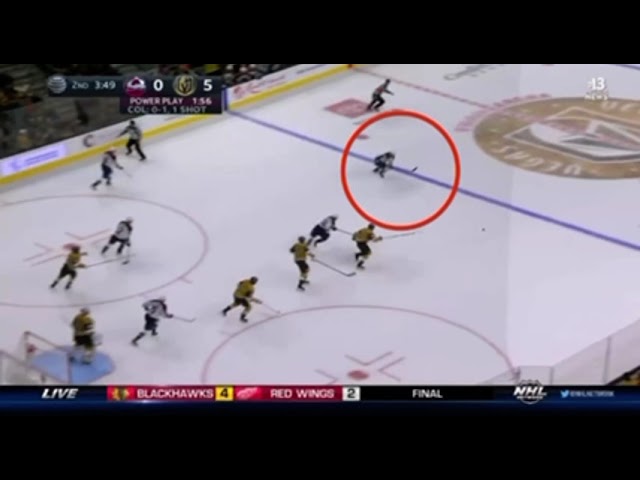 NHL player dies video