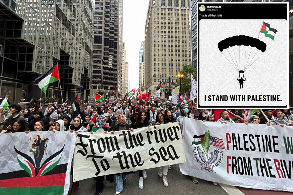 Controversial BLM Chicago Twitter Posts Express Support for Palestine
