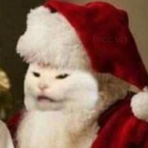 Ảnh mèo với mũ Noel (2)