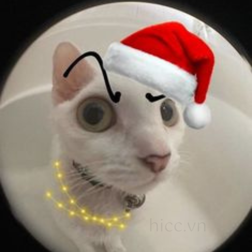 Ảnh mèo với mũ Noel (3)