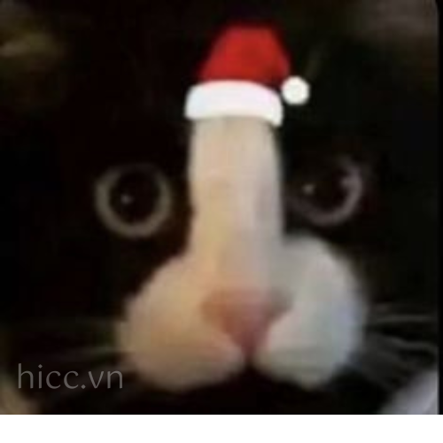 Ảnh mèo với mũ Noel