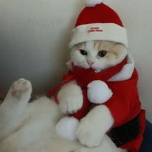 Mèo và quà Noel (3)